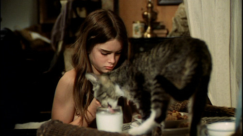 Brooke Shields Brooke Shields