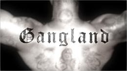 Gangland                                  (2007-2010)