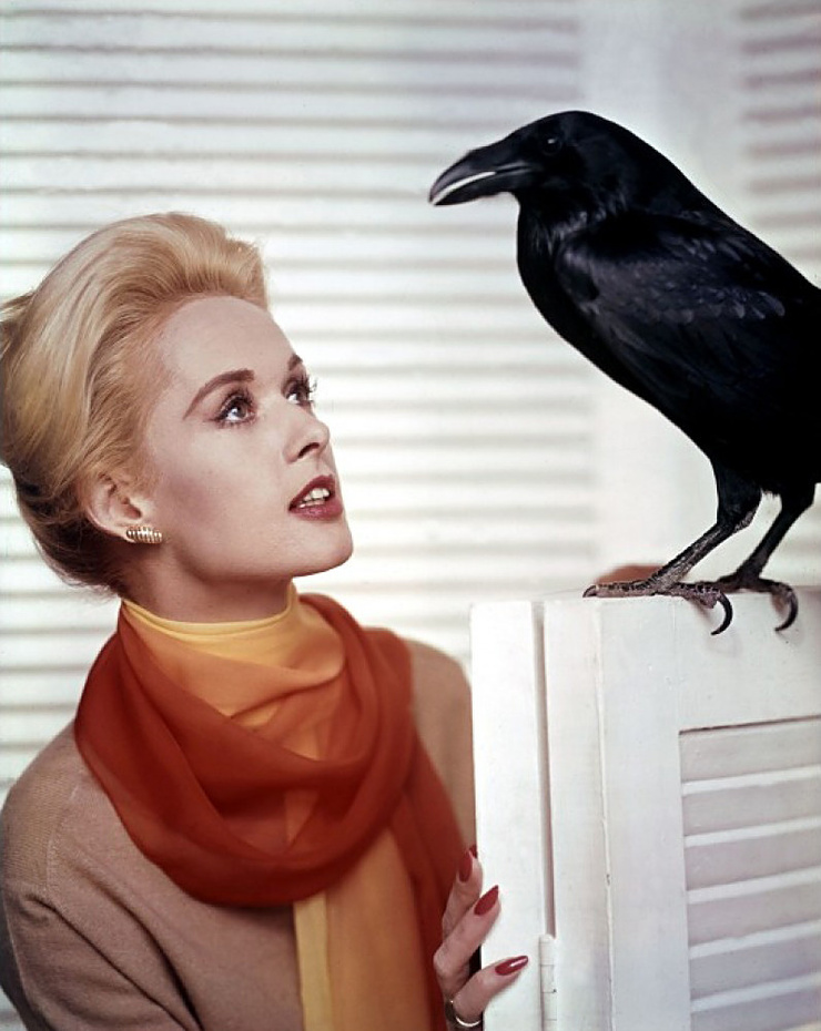 The Birds The Birds