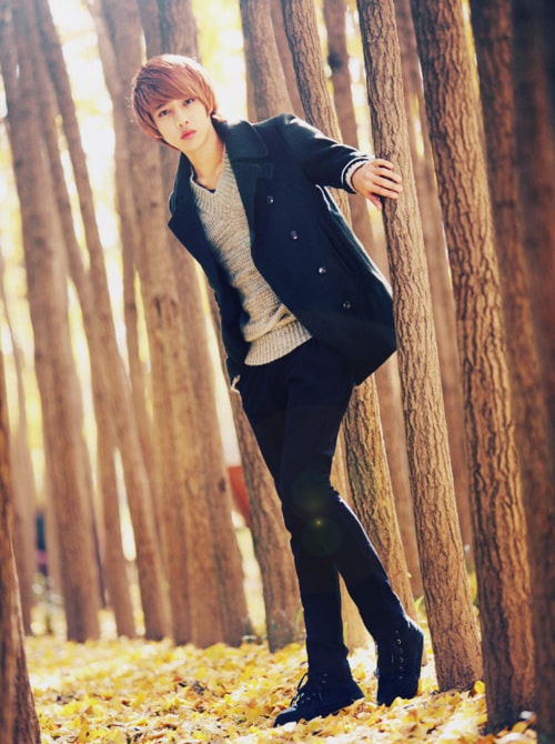 Lee Chi Hoon