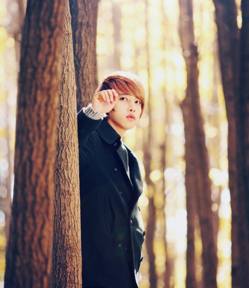 Lee Chi Hoon
