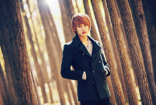 Lee Chi Hoon