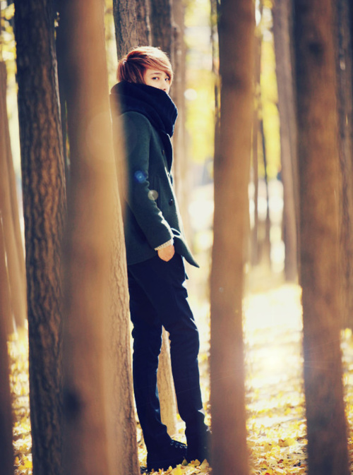 Lee Chi Hoon