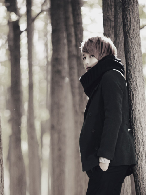 Lee Chi Hoon