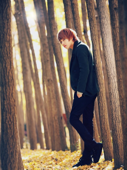 Lee Chi Hoon