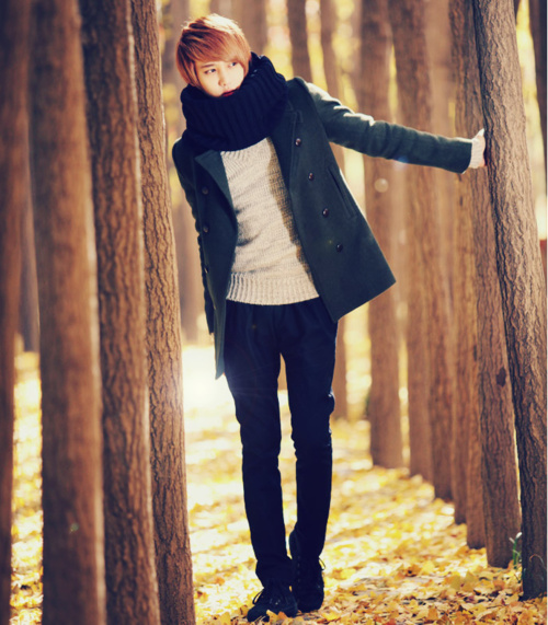 Lee Chi Hoon
