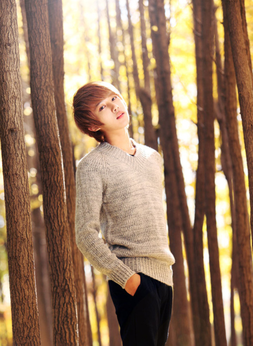 Lee Chi Hoon
