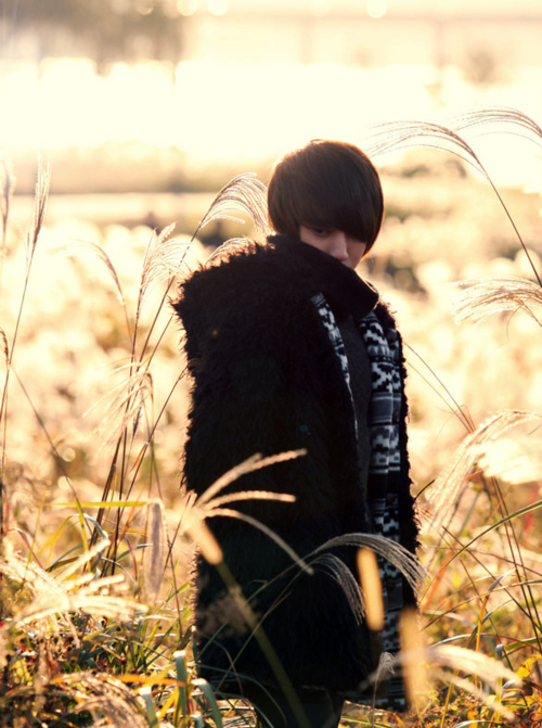 Lee Chi Hoon
