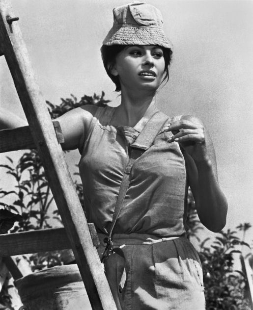Sophia Loren