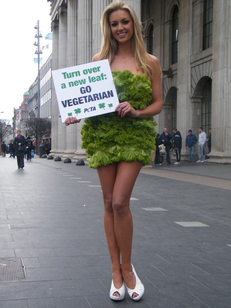 Rosanna Davison Rosanna Davison