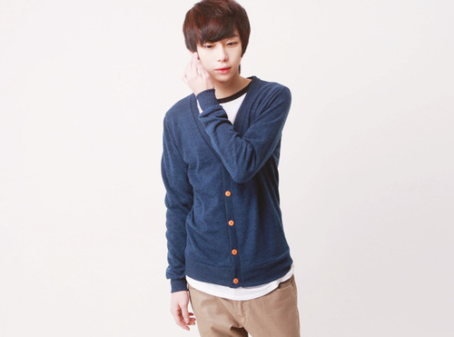 Song Chan Ho