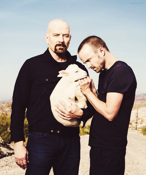 Breaking Bad Breaking Bad