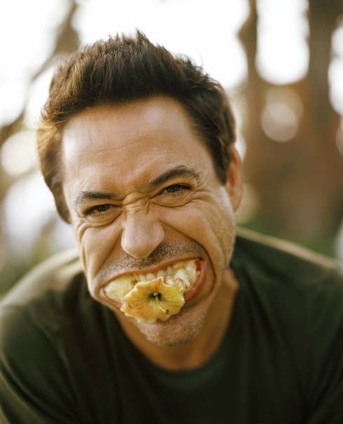 Robert Downey Jr. Robert Downey Jr.