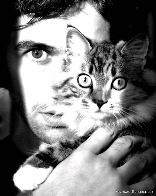 David Fonseca
