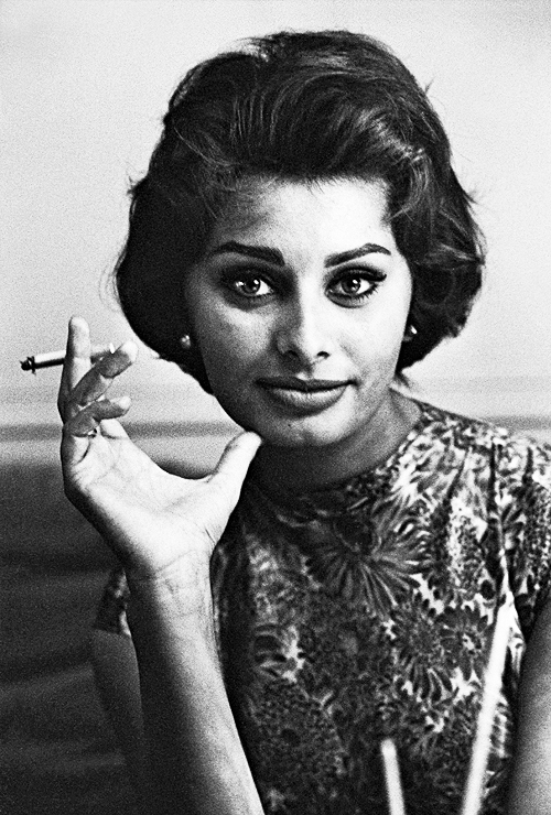 Sophia Loren