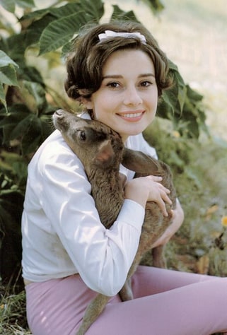 Audrey Hepburn Audrey Hepburn