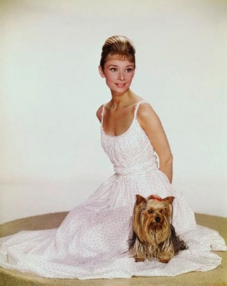 Audrey Hepburn