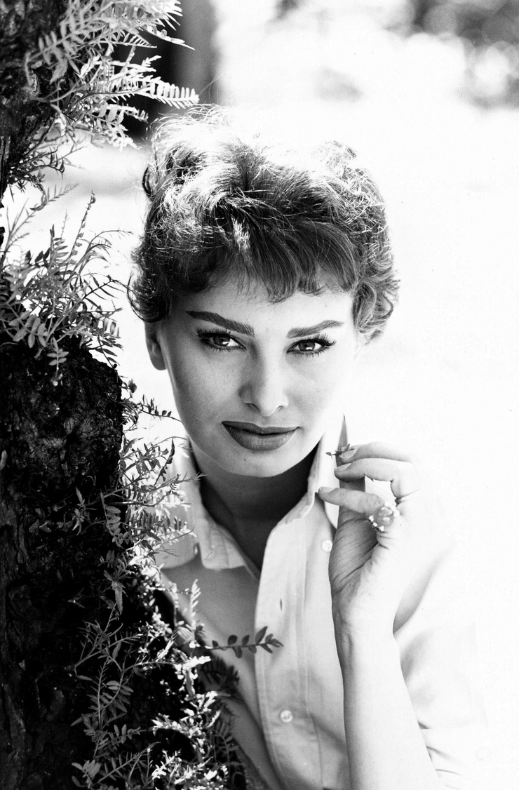 Sophia Loren Sophia Loren