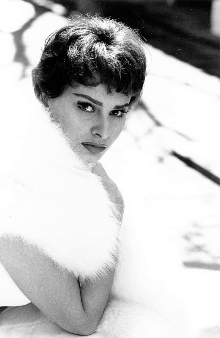 Sophia Loren Sophia Loren