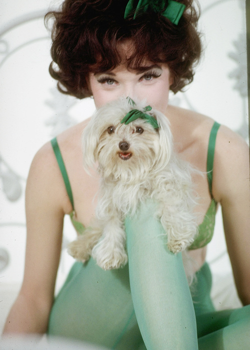 Shirley MacLaine Shirley MacLaine