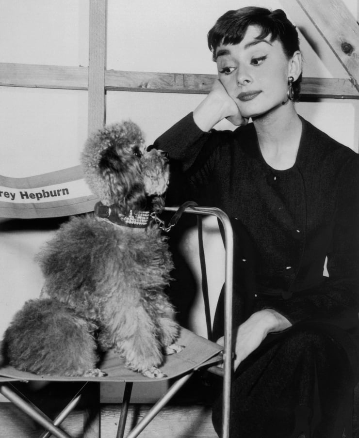 Audrey Hepburn Audrey Hepburn