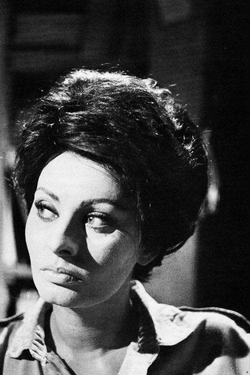 Sophia Loren