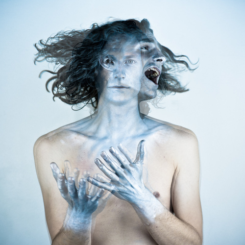 Gotye Gotye