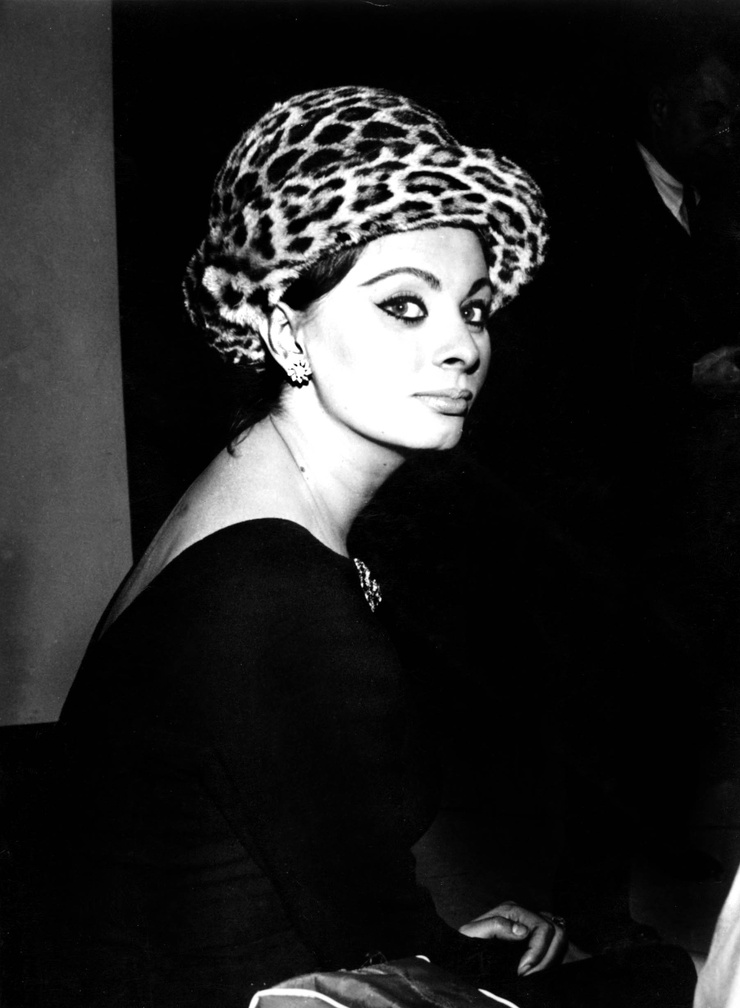 Sophia Loren
