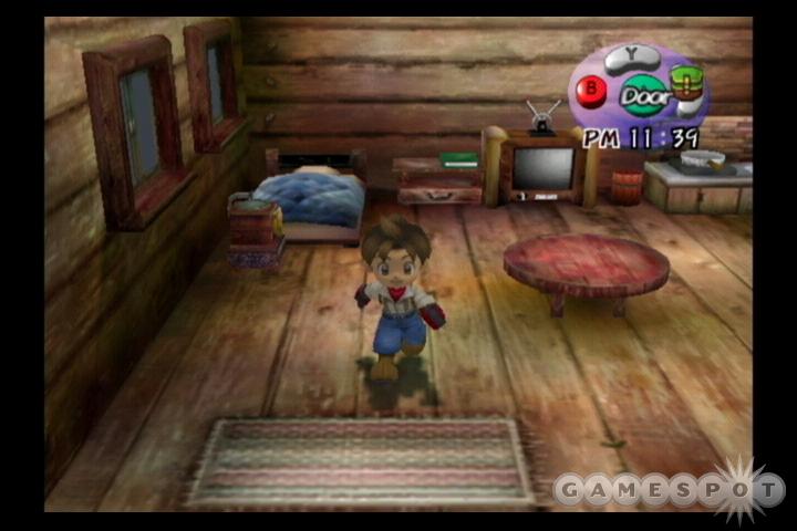 Harvest Moon: A Wonderful Life