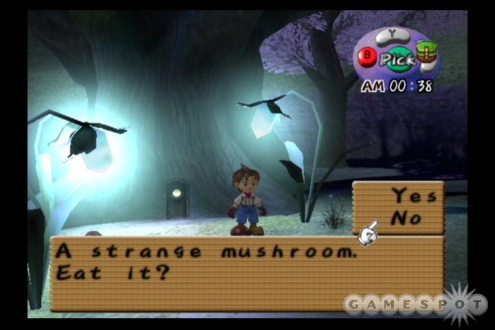Harvest Moon: A Wonderful Life