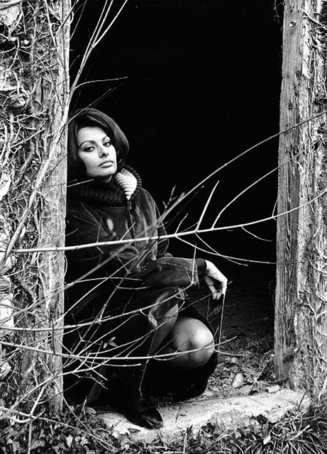 Sophia Loren