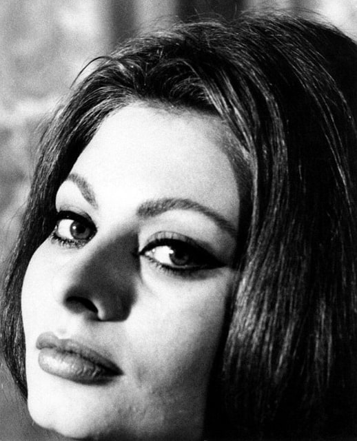 Picture Of Sophia Loren