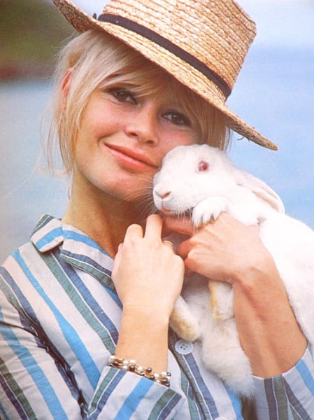 Brigitte Bardot Brigitte Bardot