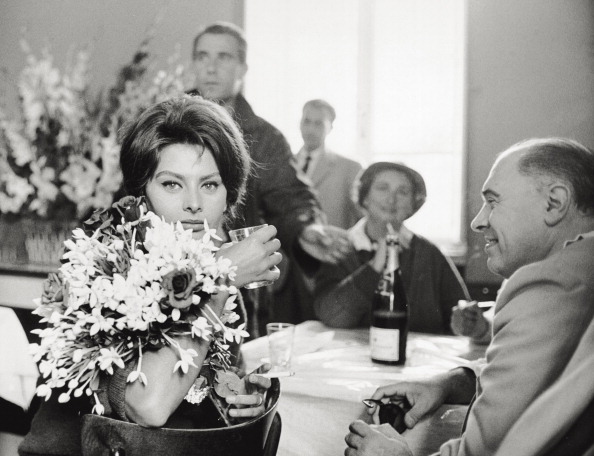 Sophia Loren