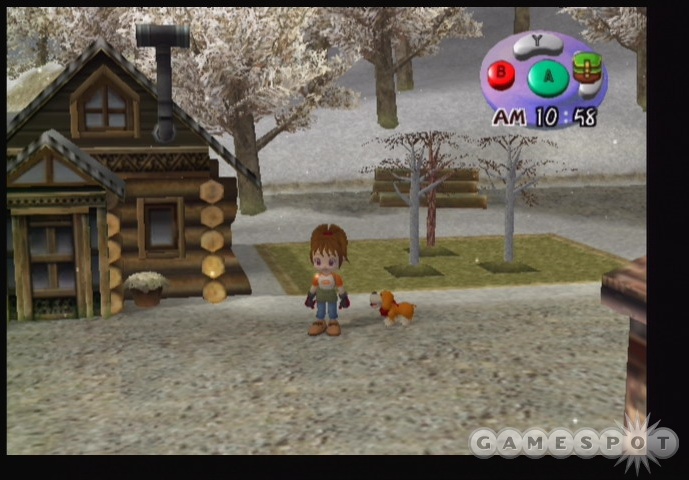 Harvest Moon: Another Wonderful Life