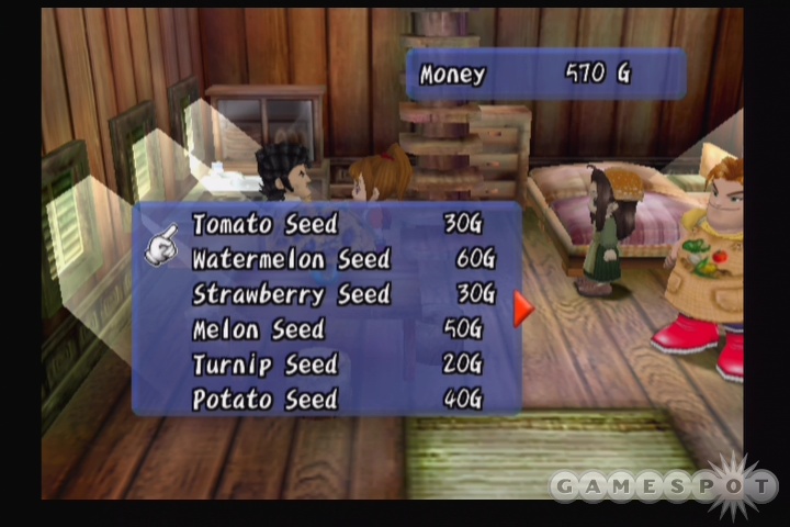 Harvest Moon: Another Wonderful Life