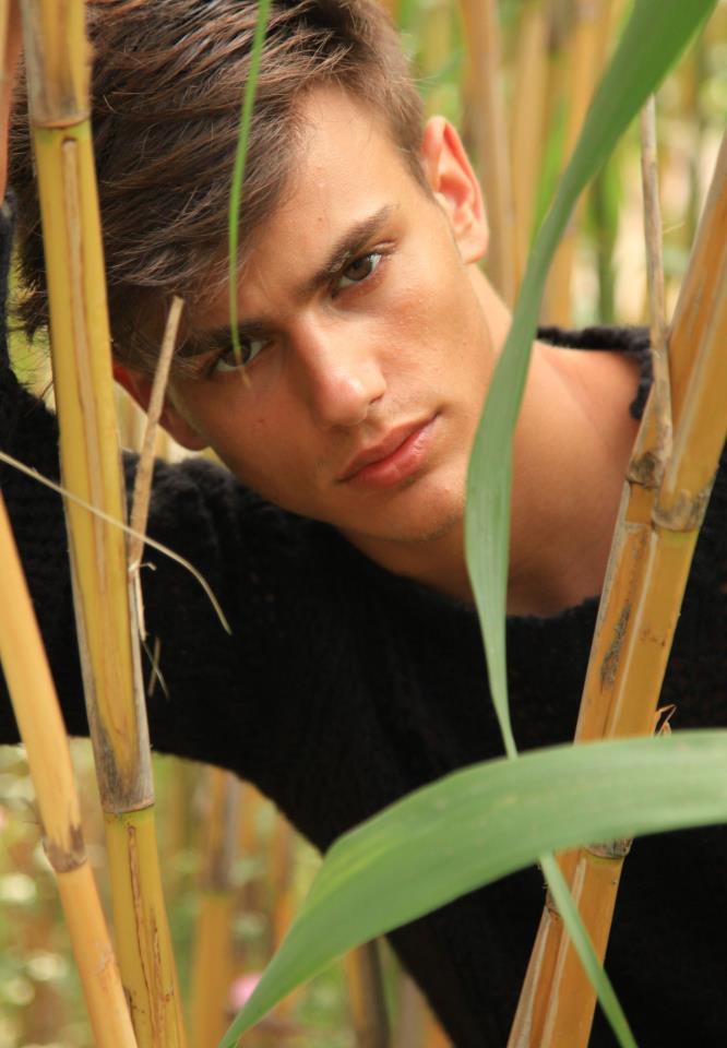 Sergio Carvajal