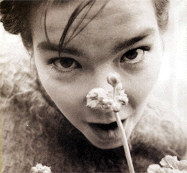 Björk Björk