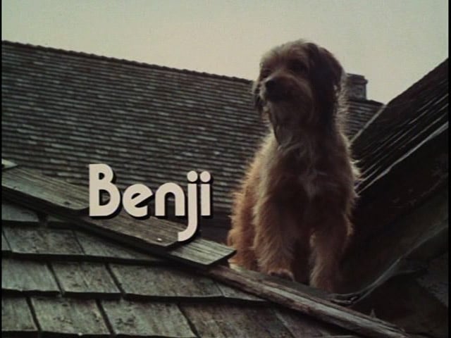 Benji