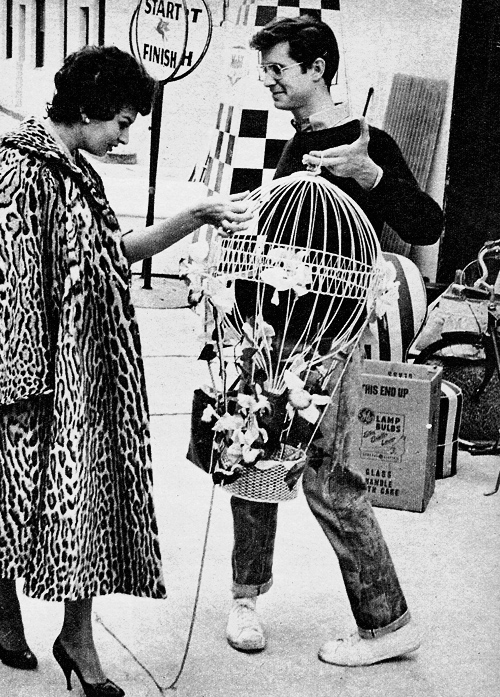 Sophia Loren