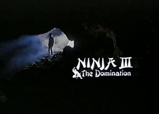 Ninja III: The Domination