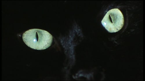 Crimes of the Black Cat (1972)