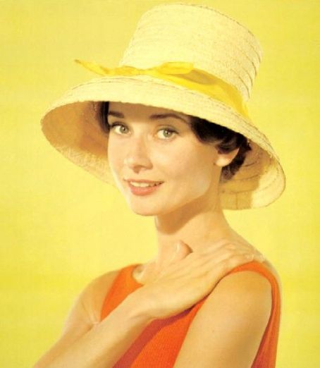 Audrey Hepburn Audrey Hepburn