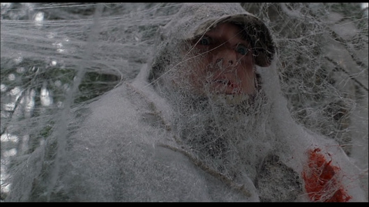 Ice Spiders
