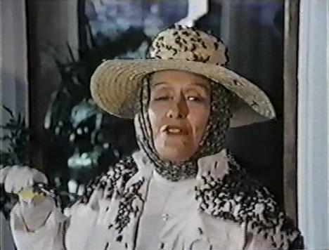 Killer Bees