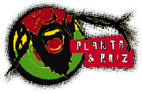 Planta e Raíz