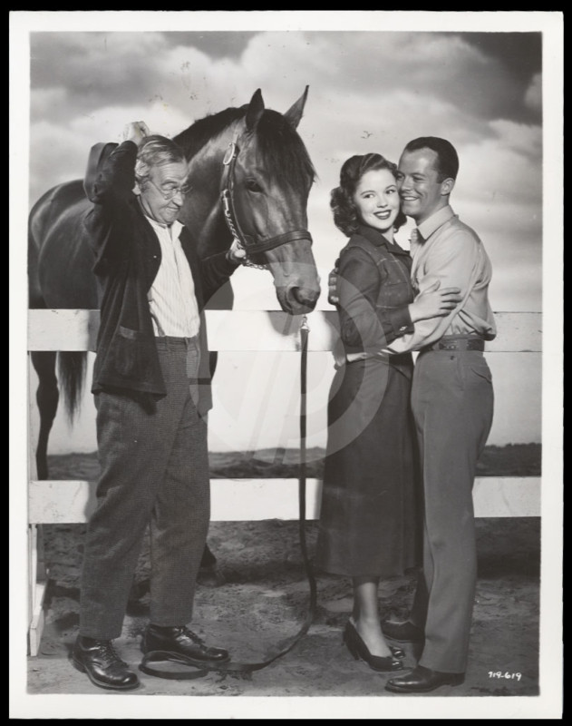 The Story of Seabiscuit The Story of Seabiscuit