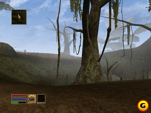 The Elder Scrolls III: Morrowind