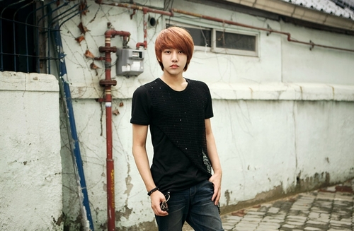 Lee Chi Hoon