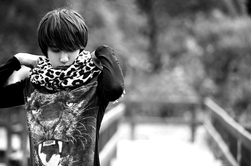 Lee Chi Hoon